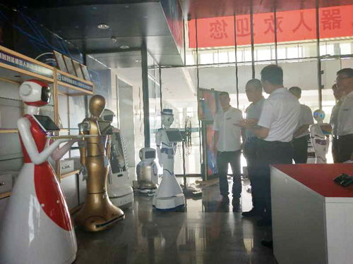 北京城乡商业集团董事长王禄征考察安利智机器人